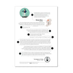 the Metal Man lighthouse, County Sligo, Ireland info sheet