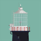 Mew Island lighthouse, County Down, Ireland detail